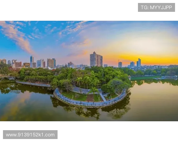 东莞高清直播：实时畅享精彩活动与城市风光